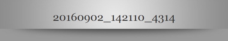 20160902_142110_4314