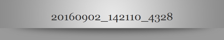 20160902_142110_4328