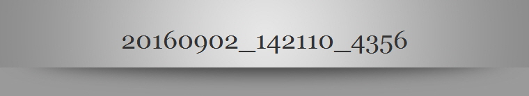 20160902_142110_4356