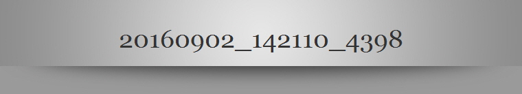 20160902_142110_4398