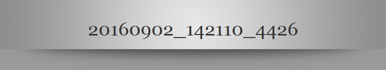 20160902_142110_4426