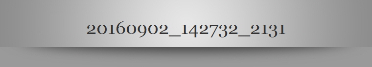 20160902_142732_2131