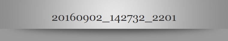 20160902_142732_2201