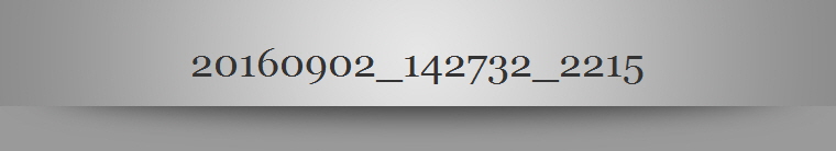 20160902_142732_2215