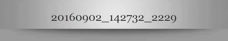 20160902_142732_2229