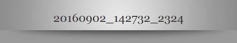 20160902_142732_2324