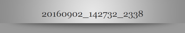 20160902_142732_2338