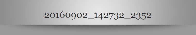 20160902_142732_2352