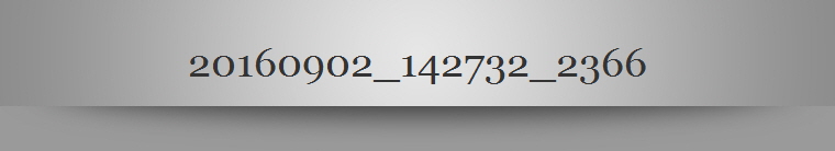 20160902_142732_2366