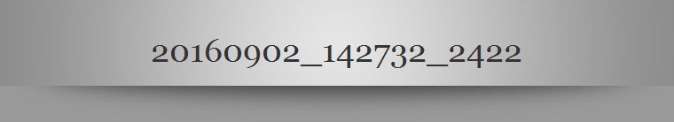 20160902_142732_2422