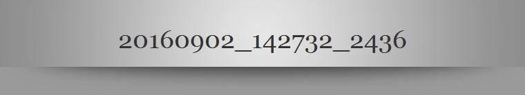 20160902_142732_2436