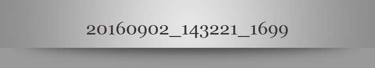 20160902_143221_1699