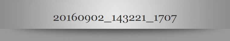 20160902_143221_1707