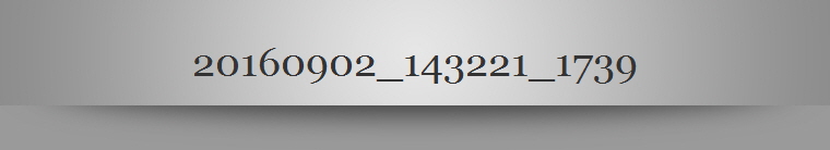 20160902_143221_1739