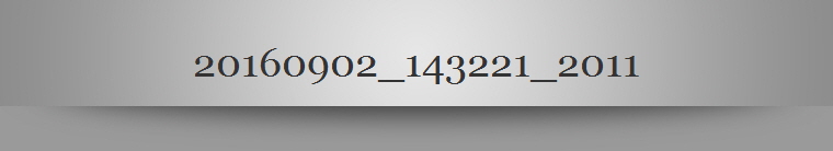 20160902_143221_2011