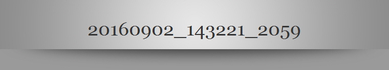 20160902_143221_2059
