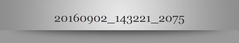 20160902_143221_2075