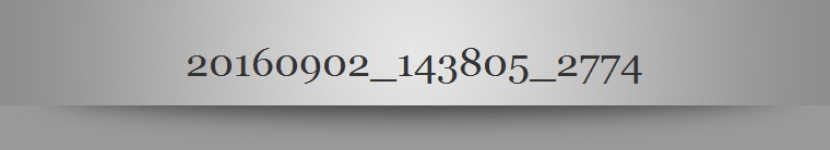 20160902_143805_2774