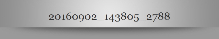 20160902_143805_2788