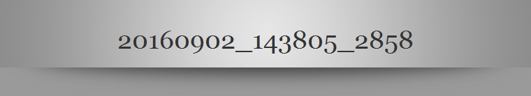 20160902_143805_2858