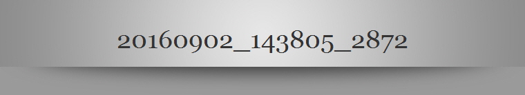 20160902_143805_2872