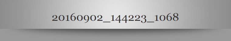 20160902_144223_1068