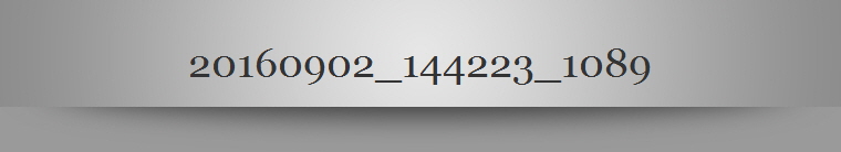 20160902_144223_1089