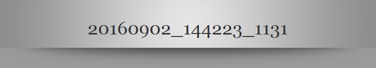 20160902_144223_1131