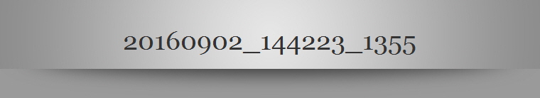 20160902_144223_1355