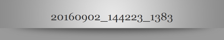 20160902_144223_1383