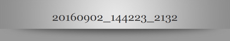 20160902_144223_2132