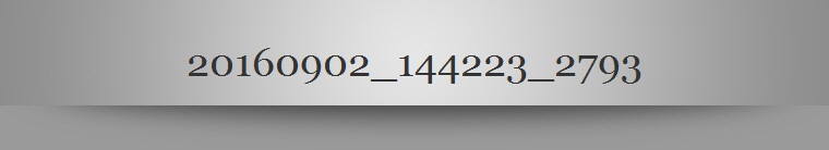 20160902_144223_2793