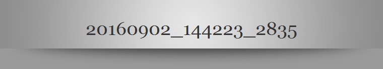 20160902_144223_2835