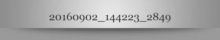 20160902_144223_2849