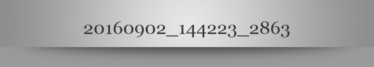 20160902_144223_2863