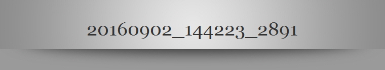 20160902_144223_2891