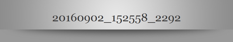 20160902_152558_2292