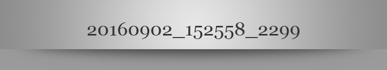 20160902_152558_2299