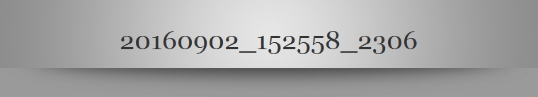 20160902_152558_2306