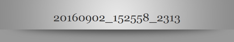 20160902_152558_2313