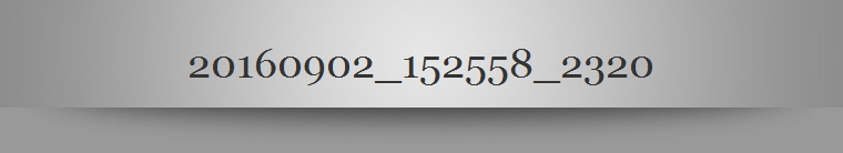 20160902_152558_2320