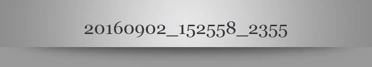 20160902_152558_2355