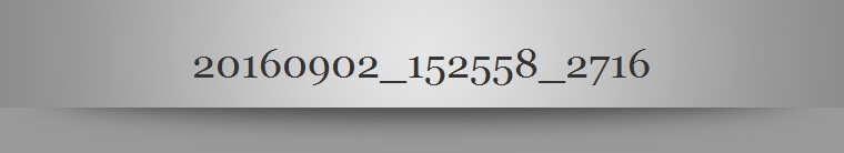 20160902_152558_2716