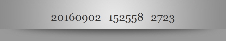 20160902_152558_2723