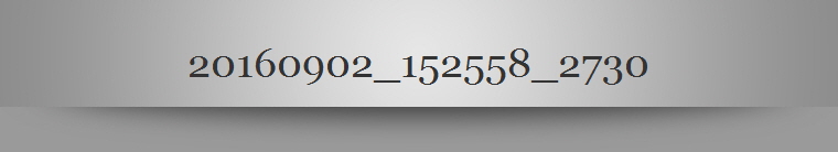 20160902_152558_2730