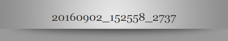 20160902_152558_2737