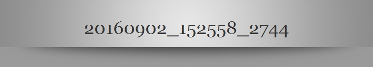 20160902_152558_2744