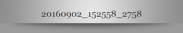 20160902_152558_2758