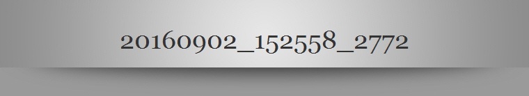 20160902_152558_2772