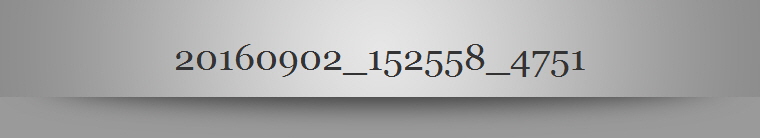 20160902_152558_4751